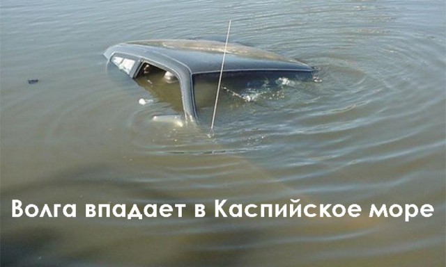Подборка интересных и веселых картинок