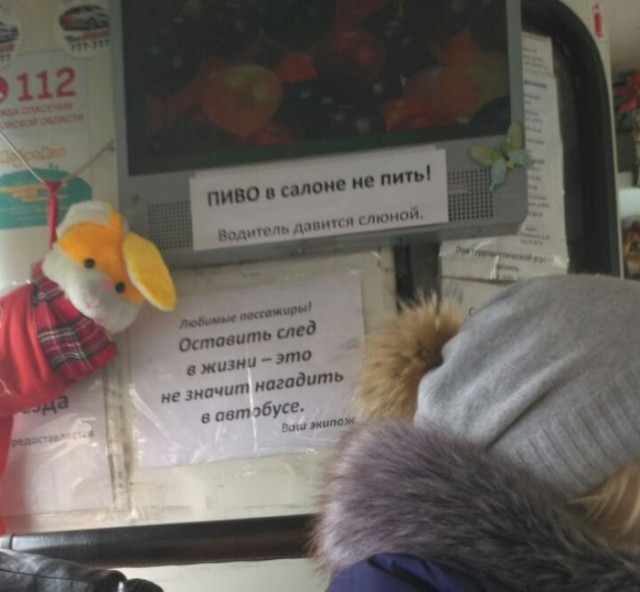Народные перлы