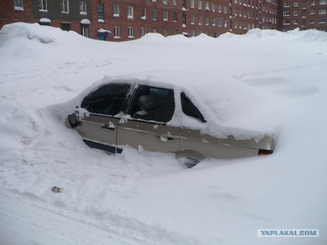 Подснежники гробы. г. Норильск