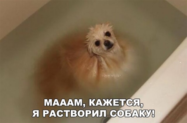 Нестандартный юмор