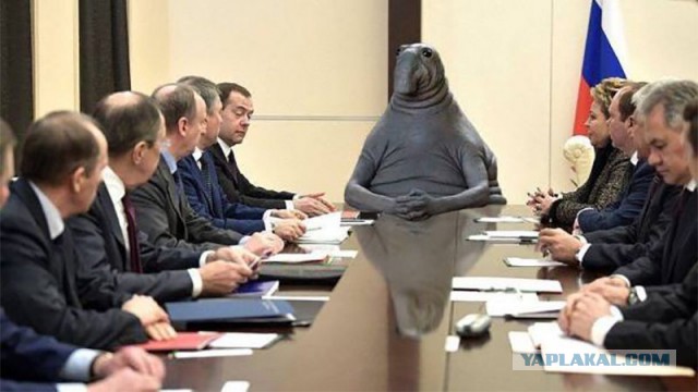 Кудрин сравнил новое правительство с готовящимся к прыжку тигром‍