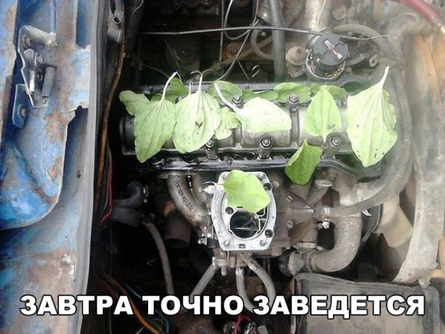Прикольные картинки абавсём