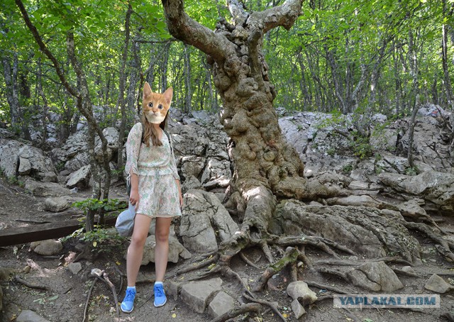 Крым 2018