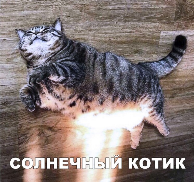 Нестандартный юмор