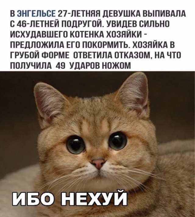 Картинки разные нужны, картинки всякие важны