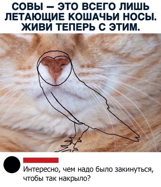 Картинки с надписями, истории и анекдоты 27.08.19