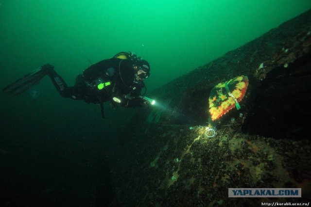 Море было покрыто людьми: катастрофа «Адмирала Нахимова»