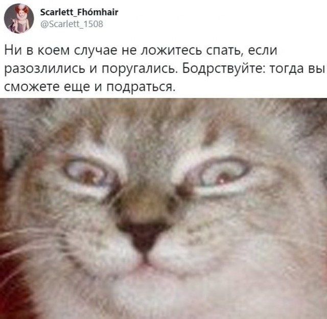 Фотоподборка четверга 03.10.19