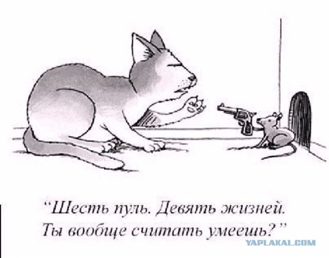 Антидедовщина ("духовщина"), или борзые духи в армии