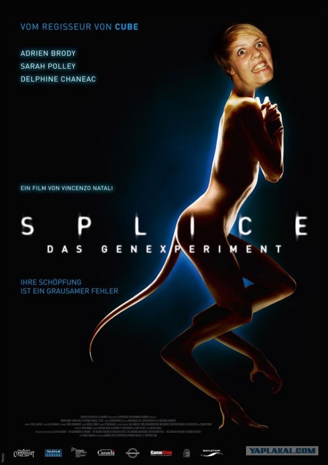 Вытянулась: картинка и 2 жабы