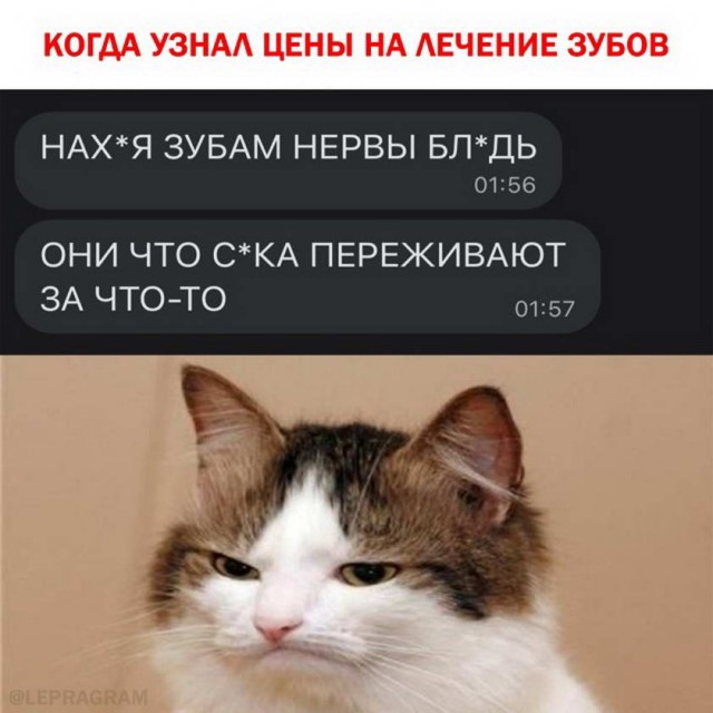 Картинки и мемы для настроения 008