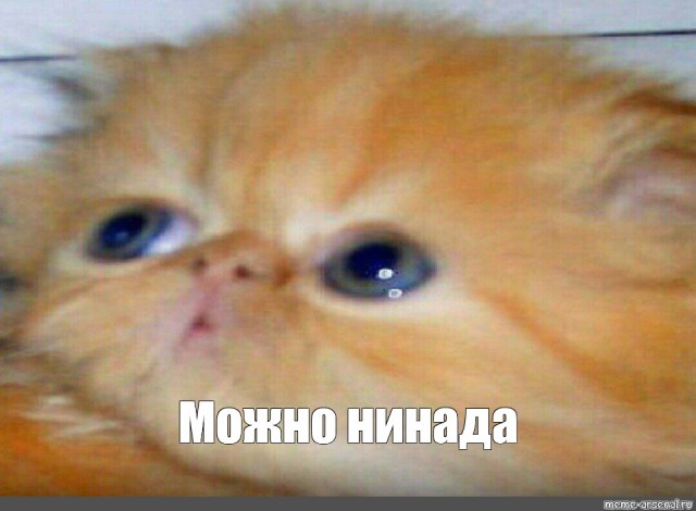 Власти начнут регулировать цены на бензин