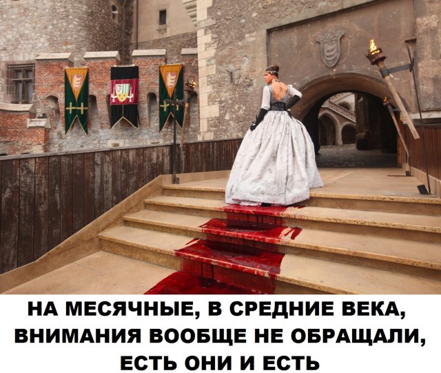 Скотсети и прочие интернеты 26.03.21
