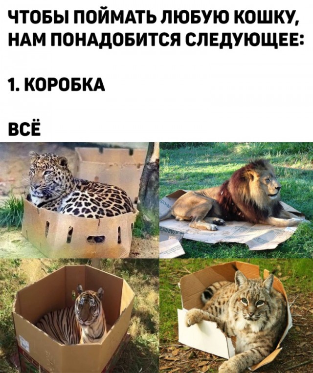 Так себе картинки 16.05.21