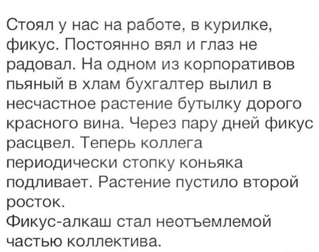 Всяческие картинки 29.06.2021