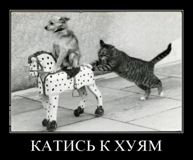 Идет зима пора лететь в теплые края