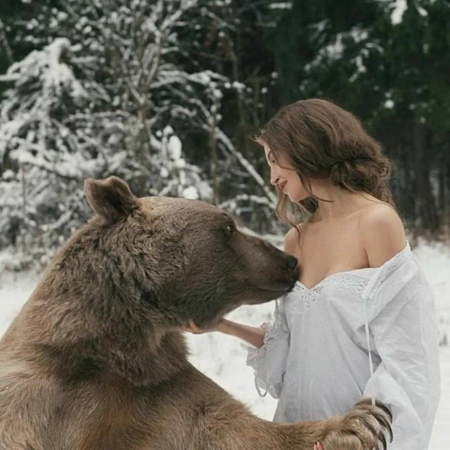 Медведи, они как котики, нотолько медведи