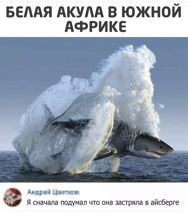 Картинки и мемы, всем прекрасных выходных