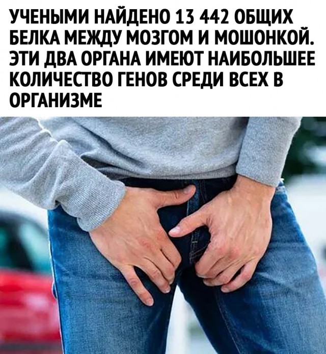 Так себе картинки 11.10.21