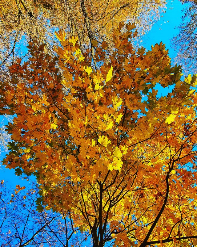 Моя мобильная фотография