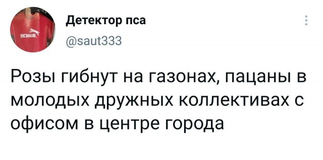 Картинки из рабочего чата 13.11.21