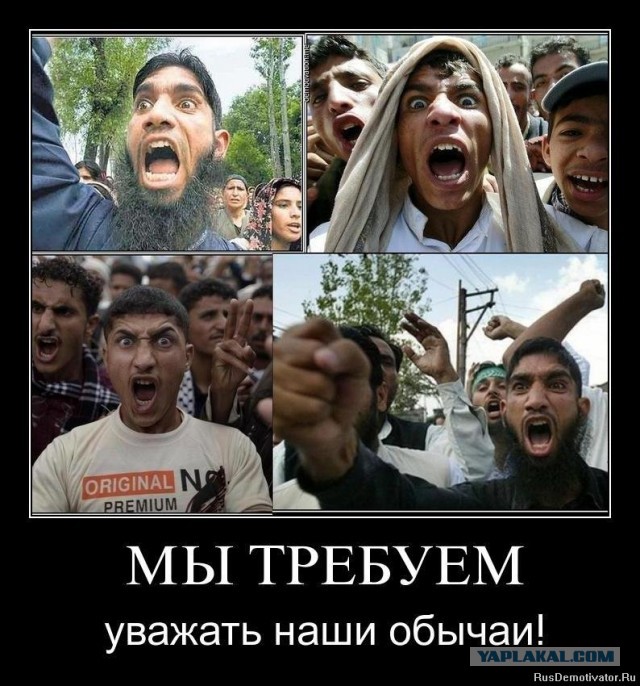 Ты чё дядя? Попутал что ли?
