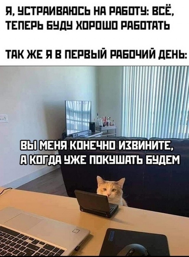 Подборка картинок и мемов для поднятия настроения