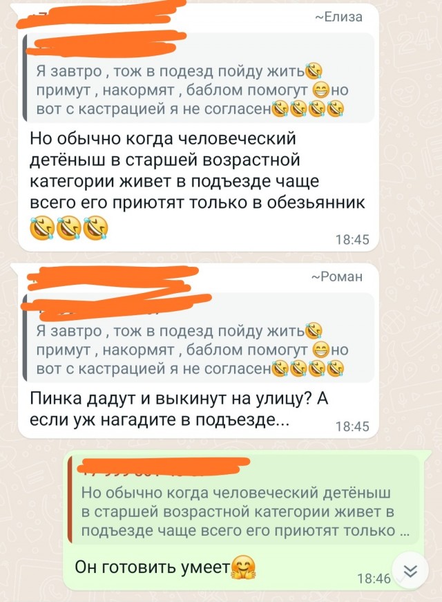 Общедомовой чат - как отдельный вид искусства