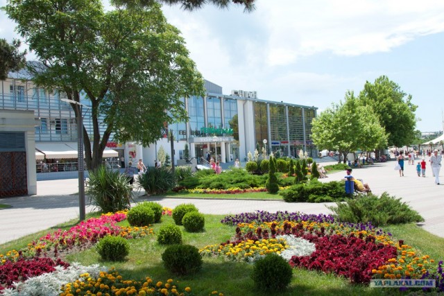 Геленджик 2011