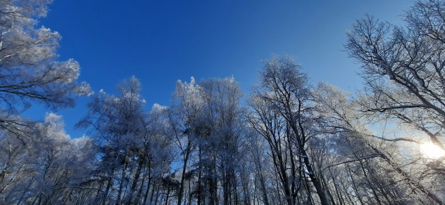 Фото с телефона