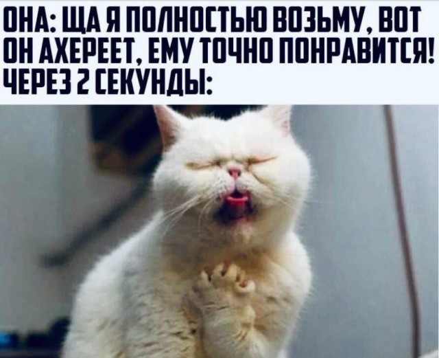 Пятница. И немного слегка пошлых картинок с надписями и без 16+ (22.04)