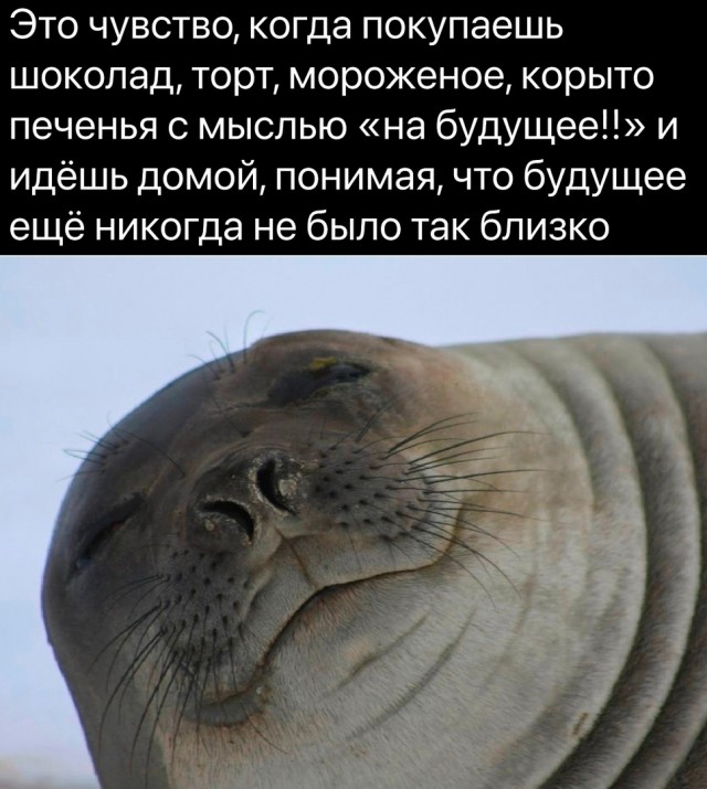 Так себе картинки 18.05.22