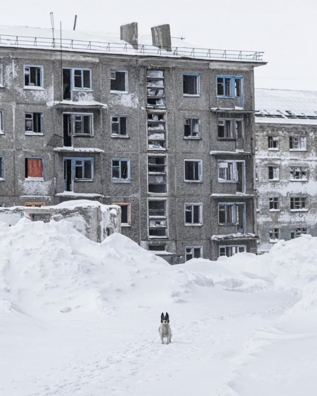 Запоминающиеся картинки