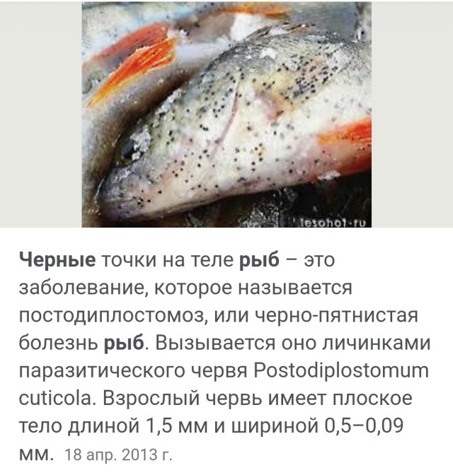Сбежал с работы на пару часиков и вот что вышло...