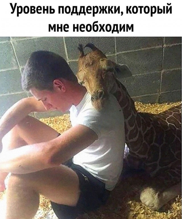 Картинки и мемы для настроения - 27