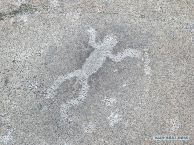 Русский север