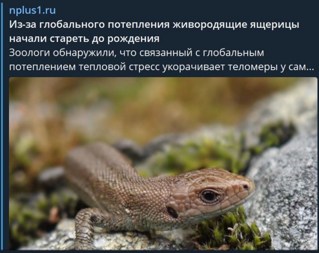 Пандемия съехавших крыш - разновидности болезни. Россия и мир. Часть 39.