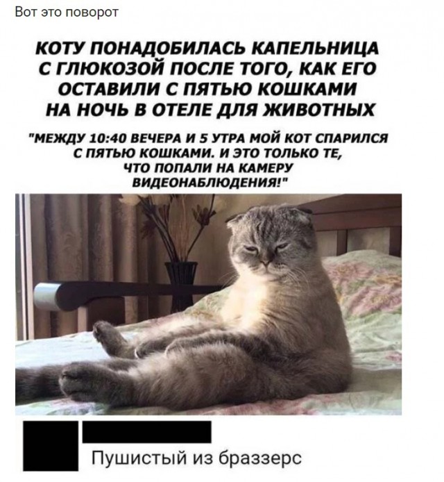 Так себе картинки 19.09.22