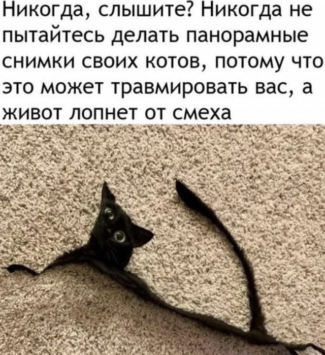 Так себе картинки 17.10.22