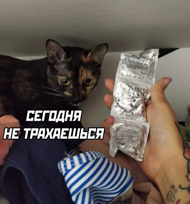 Немного картинок для настроения - 131