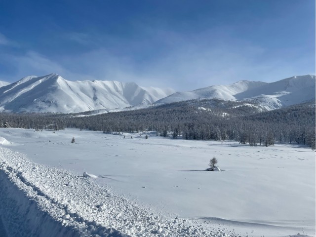 Одно зимнее фото