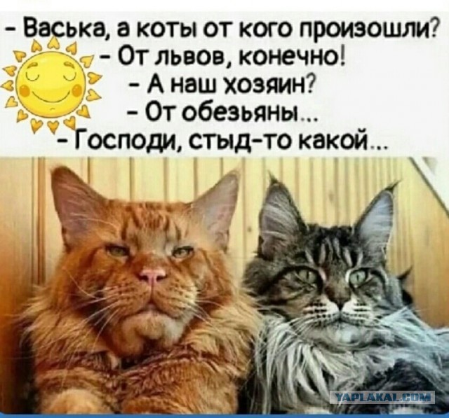 Почему женщины одним "дают" сразу, а других матросят месяцами