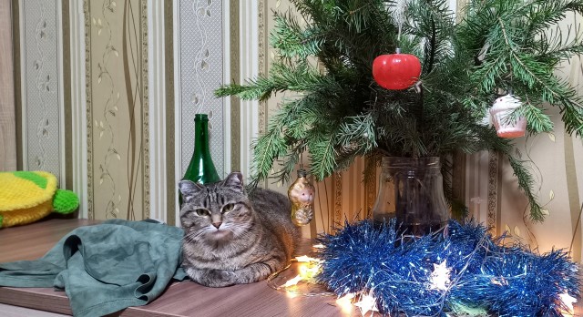 Поймал момент!