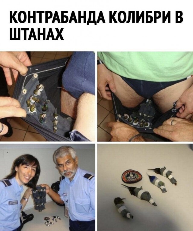 Юмор в картинках и без 10.01.2023