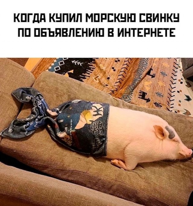 Картинки с надписями 28.01.23