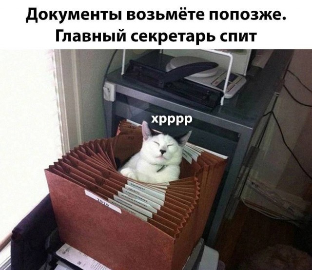 Немного картинок для настроения - 129