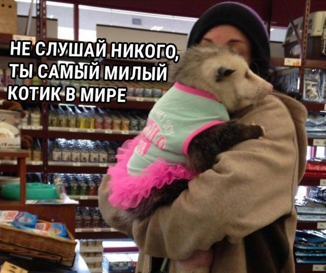 Пятничные картинки с надписями для поднятия настроения