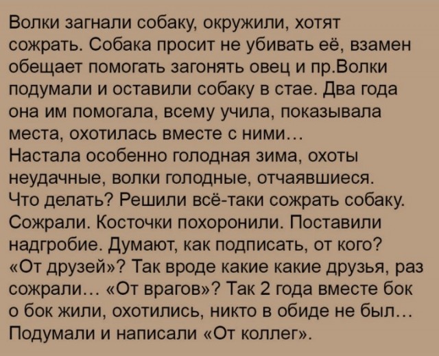 Волк вернулся из леса, чтобы попрощаться с другом!