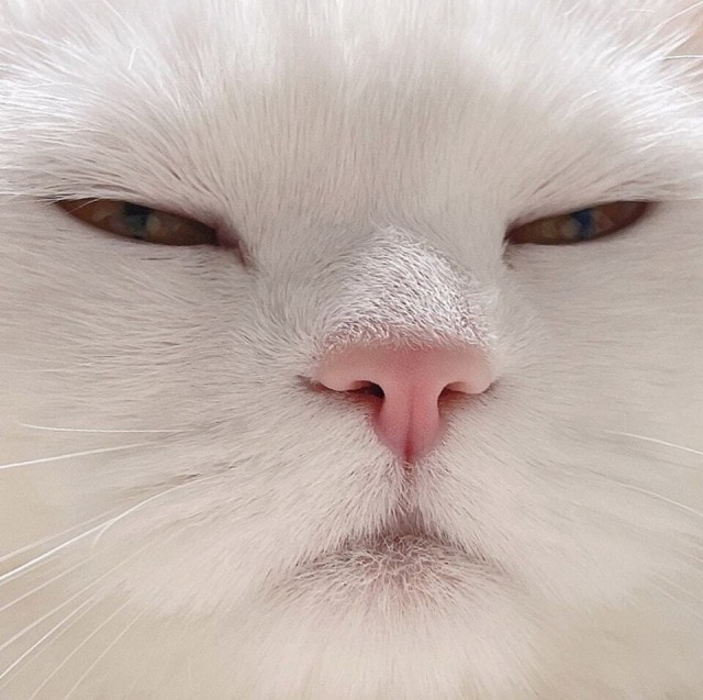 Неприемлемо