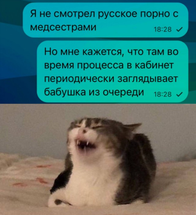 Так себе картинки 14.06.23